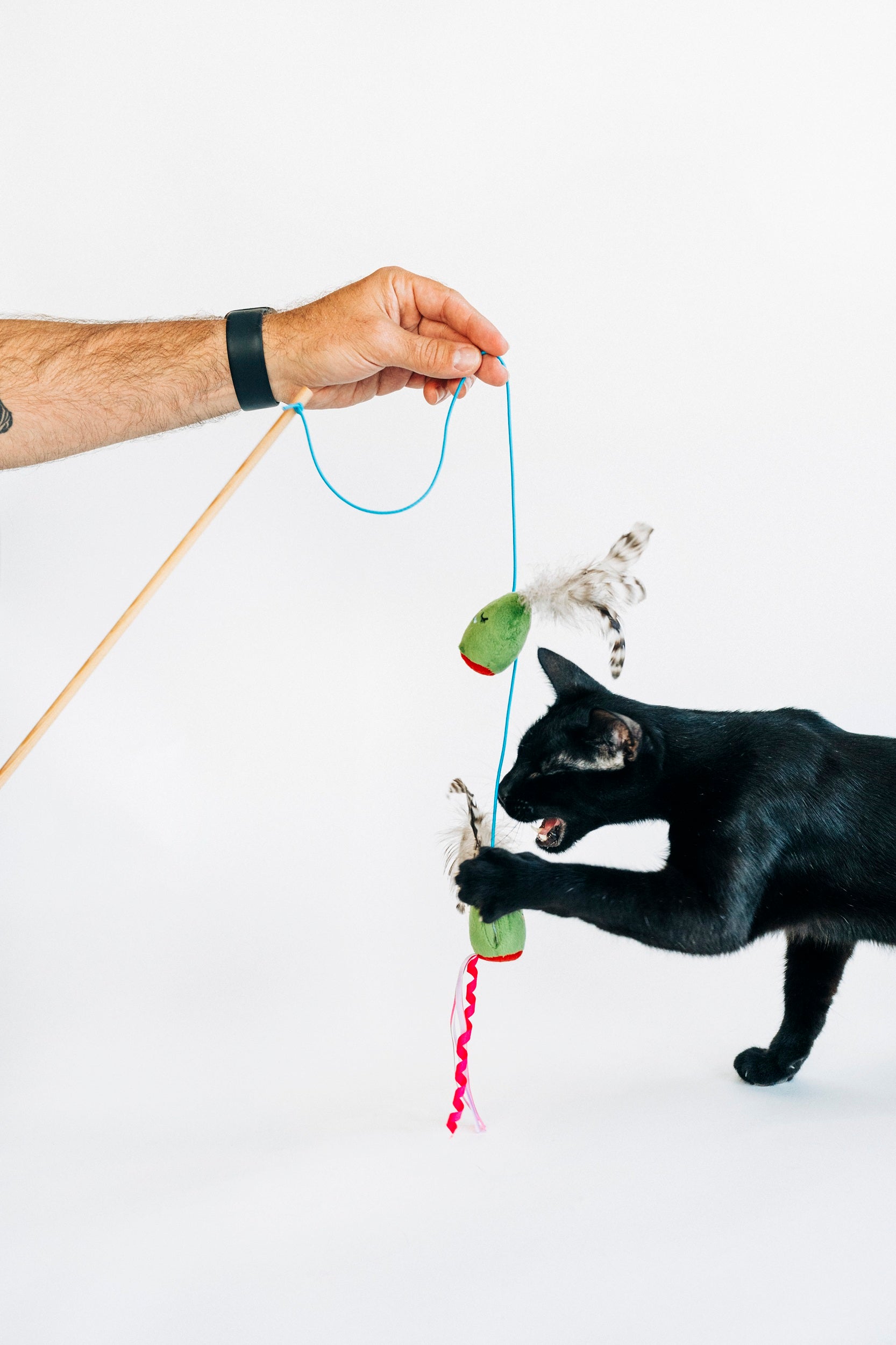 [Pre-Order] P.L.A.Y. Feline Frenzy, Wand Cat Toy: Purrfectly Pitted