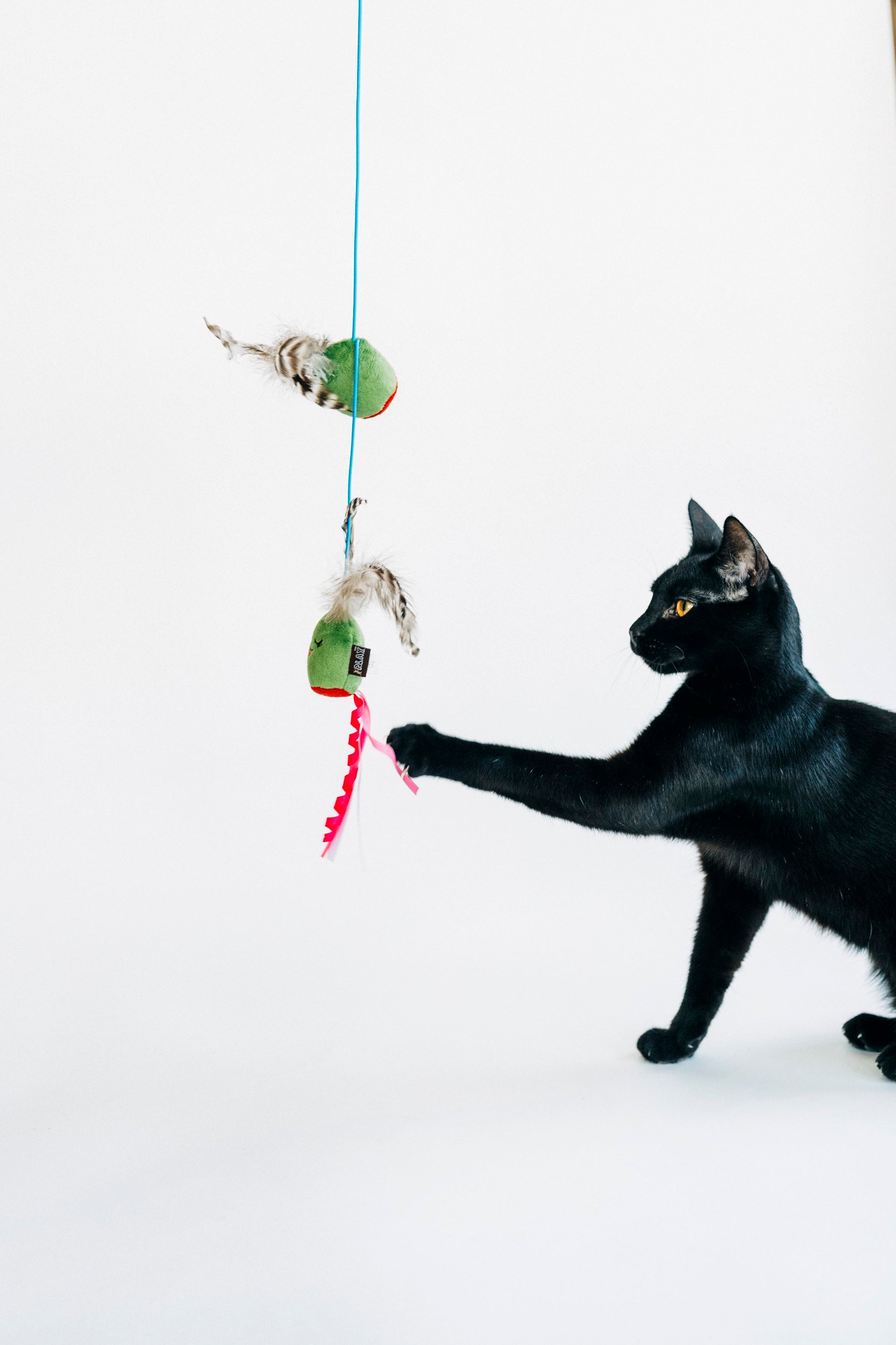 [Pre-Order] P.L.A.Y. Feline Frenzy, Wand Cat Toy: Purrfectly Pitted