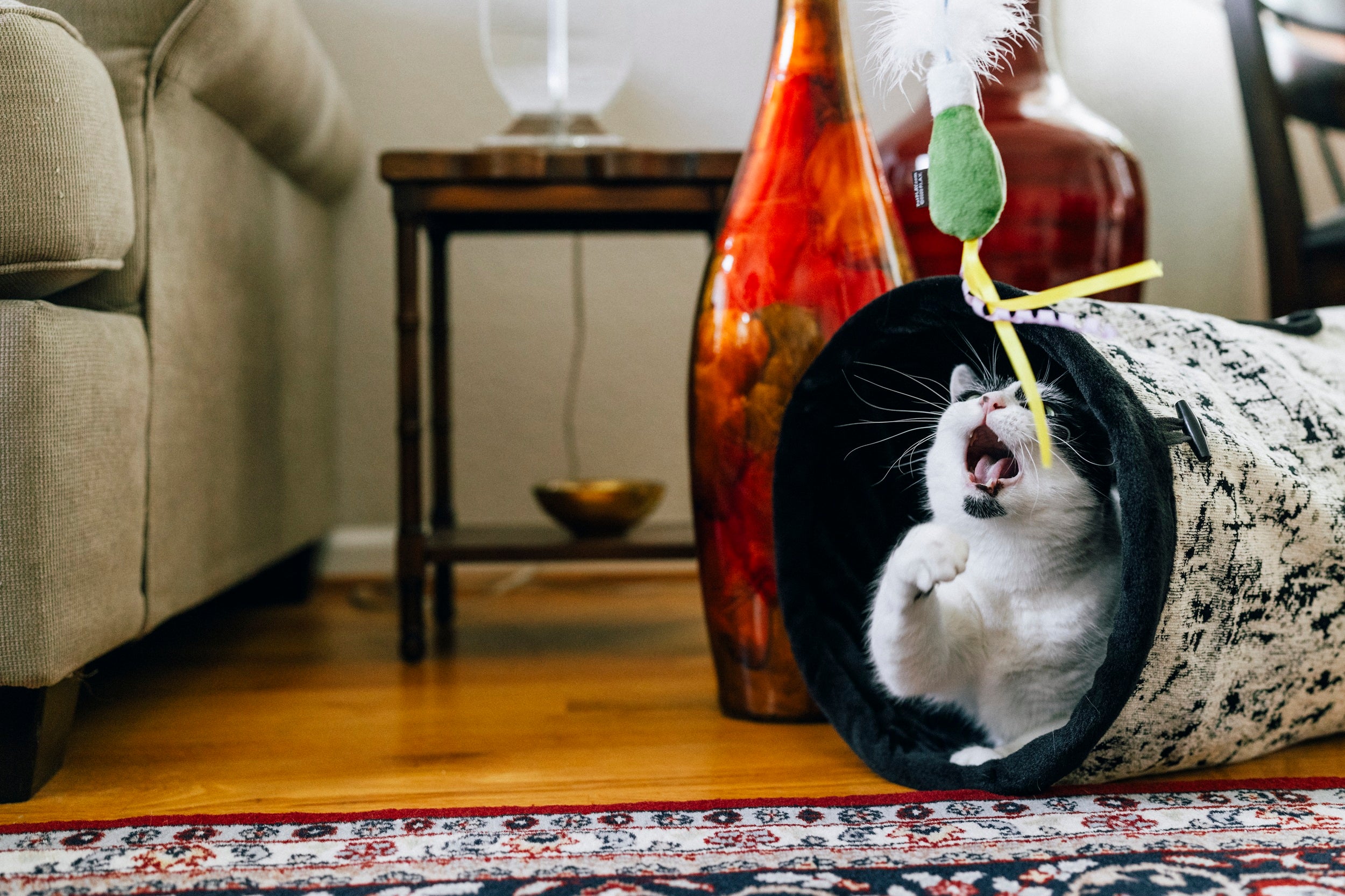 [Pre-Order] P.L.A.Y. Feline Frenzy, Wand Cat Toy: Purrfectly Pitted
