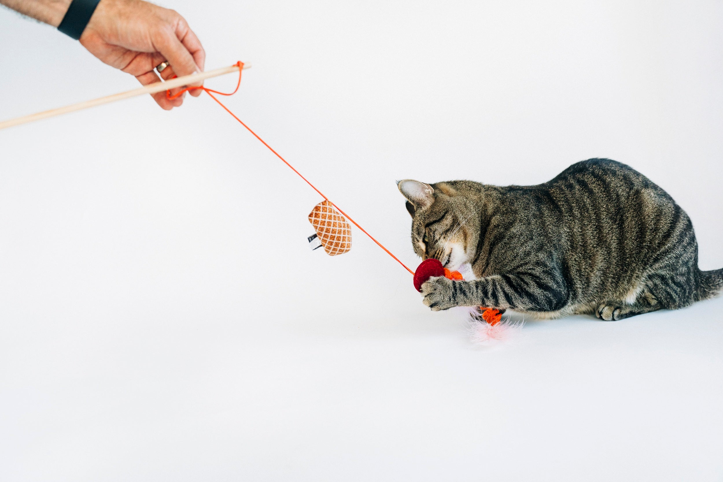 [Pre-Order] P.L.A.Y. Feline Frenzy, Wand Cat Toy: Swatlami