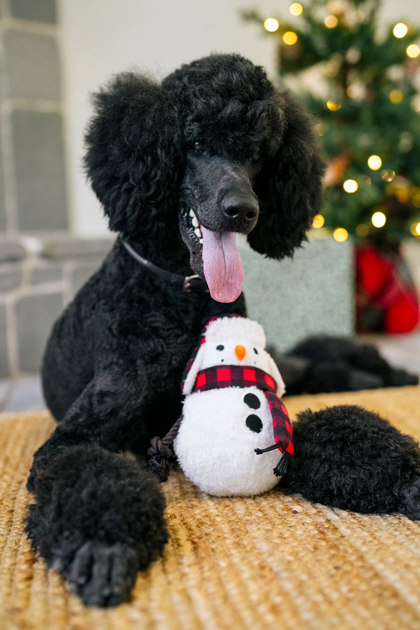Poodle Holiday Drawstring Bag - Black Standard Poodle Holiday Drawstring Bag - Black Standard