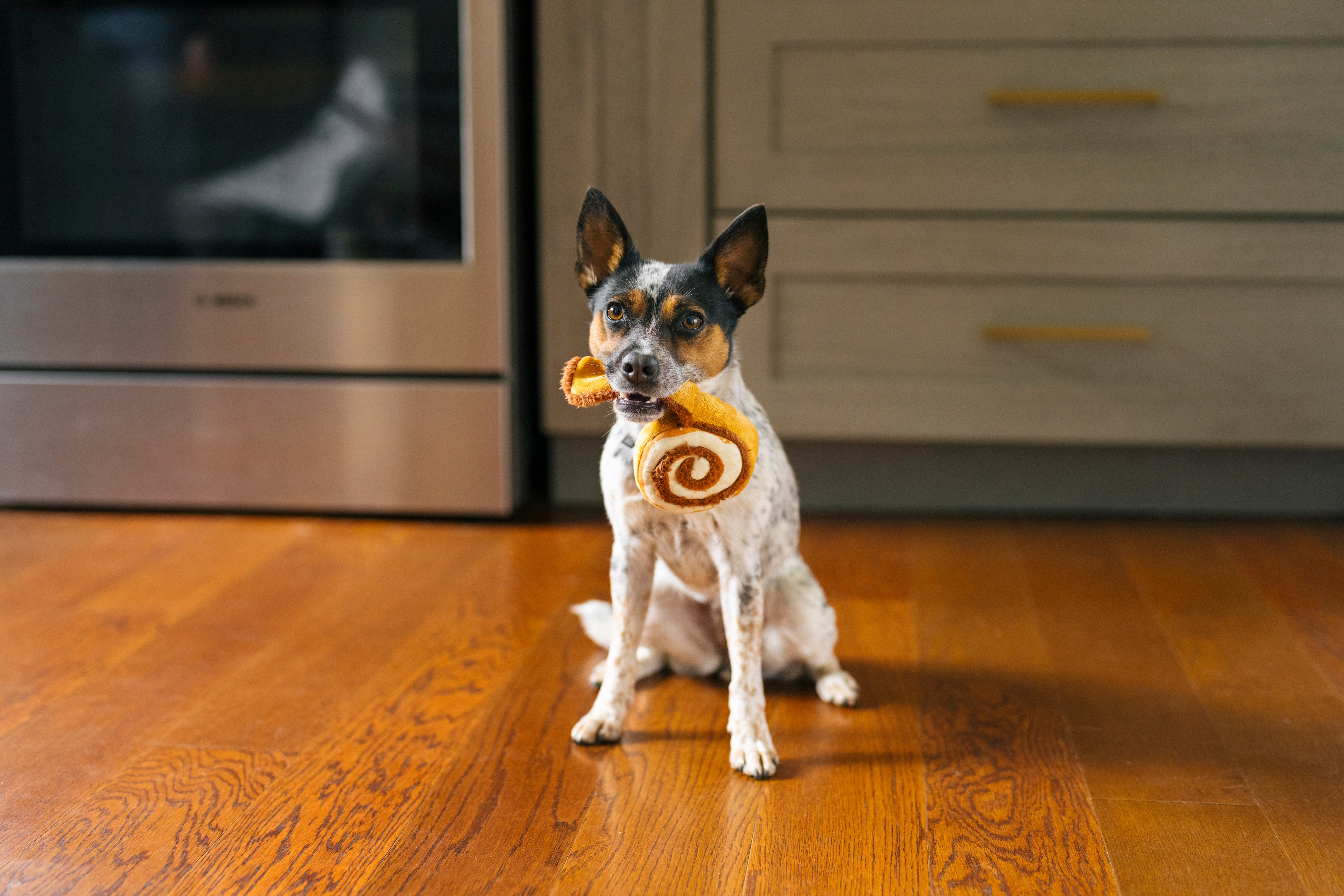 [Pre-Order] P.L.A.Y. Pup Cup Cafe Squeaky Plush Dog toys, Cinna-bone (mini sized)