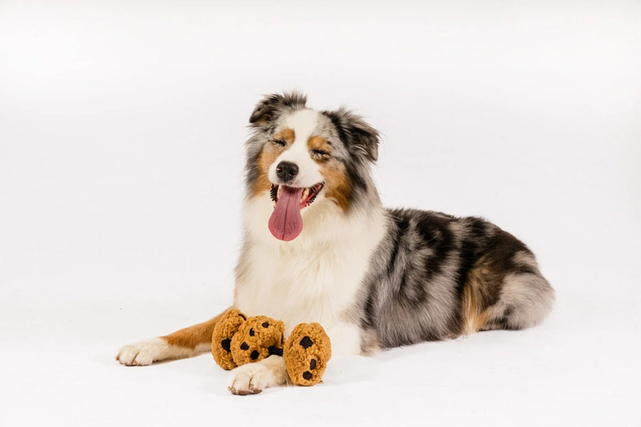 [Pre-Order] P.L.A.Y. Pup Cup Cafe Squeaky Plush Dog toys, Cookies n' Treats (mini sized)