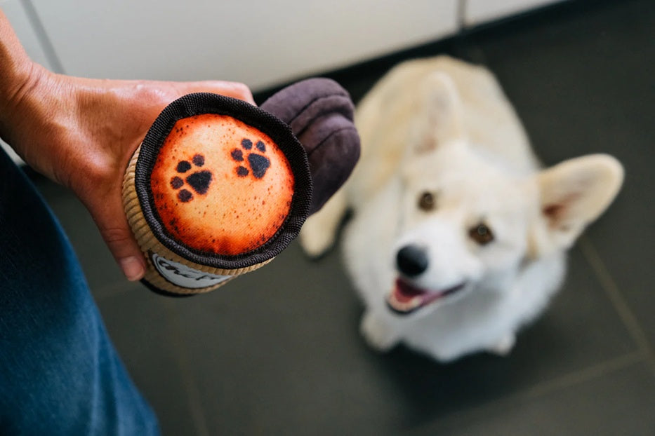 [Pre-Order] P.L.A.Y. Pup Cup Cafe Squeaky Plush Dog toys, Doggo's Java (mini sized)