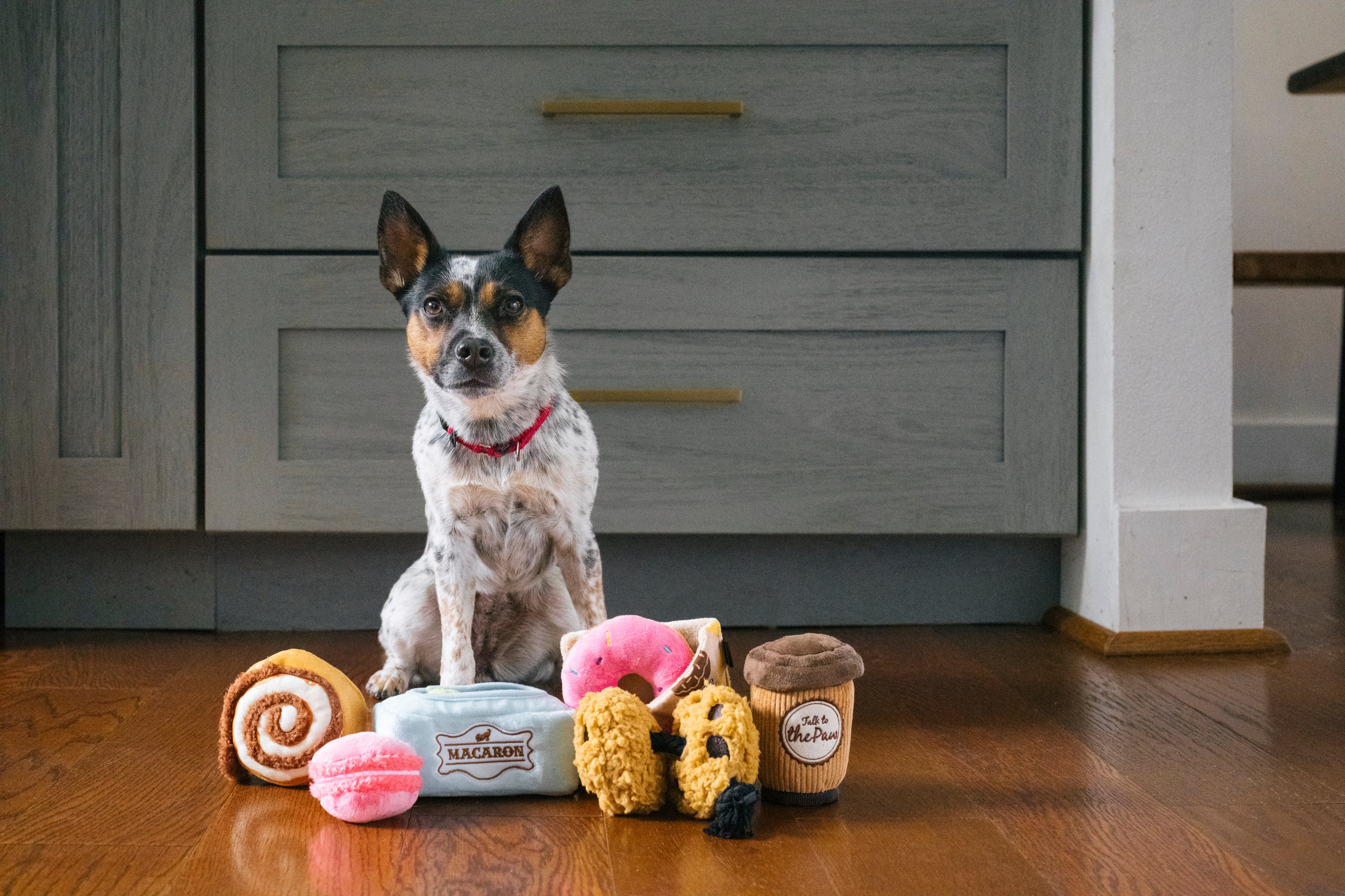 [Pre-Order] P.L.A.Y. Pup Cup Cafe Squeaky Plush Dog toys, Doughboy Donut (mini sized)