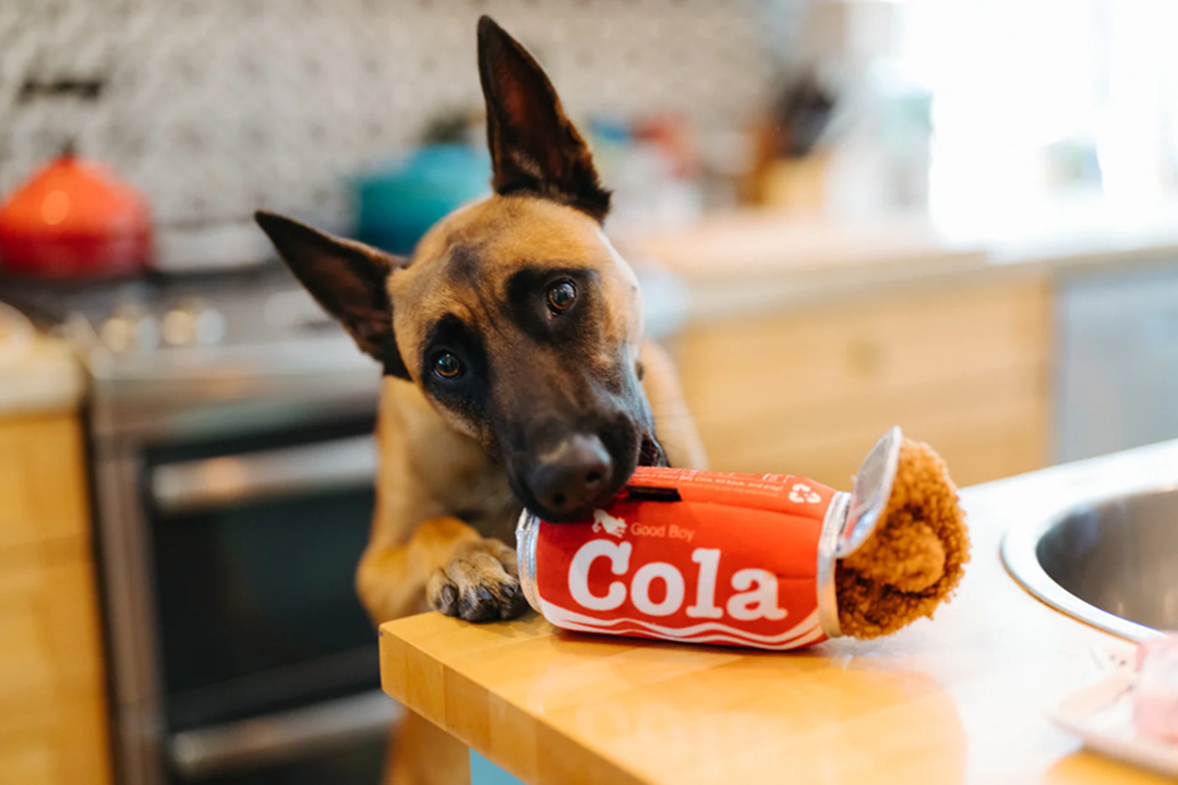 [Pre-Order] P.L.A.Y. Snack Attack Squeaky Plush Dog toys, Good Boy Cola (mini sized)