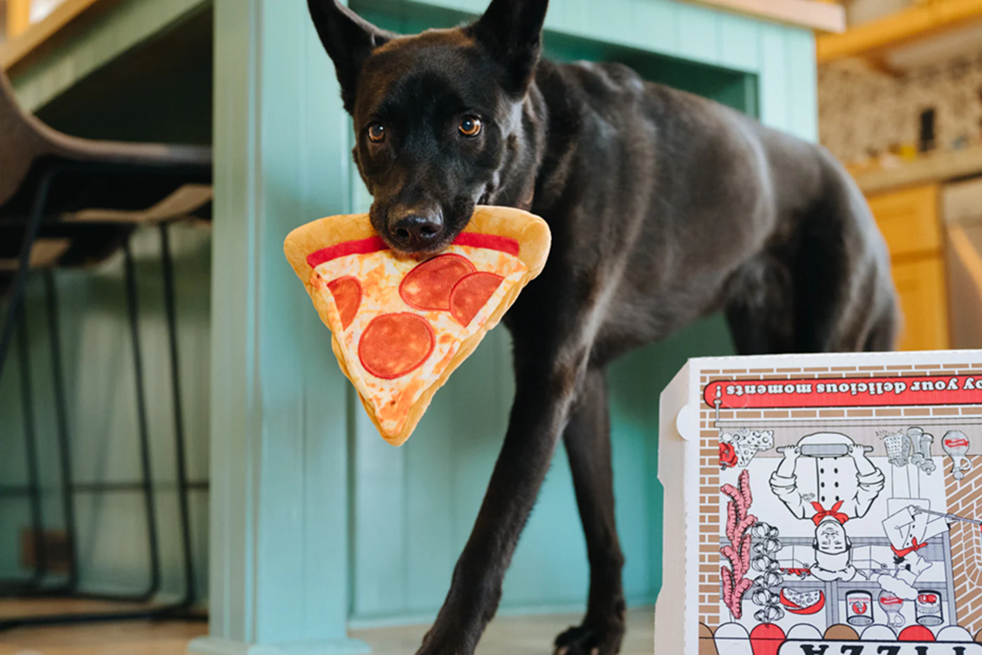 [Pre-Order] P.L.A.Y. Snack Attack Squeaky Plush Dog toys, Puppy-roni Pizza (mini sized)