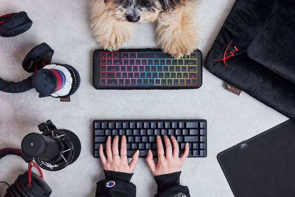 P.L.A.Y.  x  HyperX Squeaky Plush Dog toys, Alloy Keybark Gaming Keyboard
