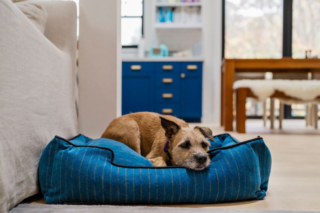 [Pre Order OFFER] Lounge Dog Bed: Manhattan The Chelsea