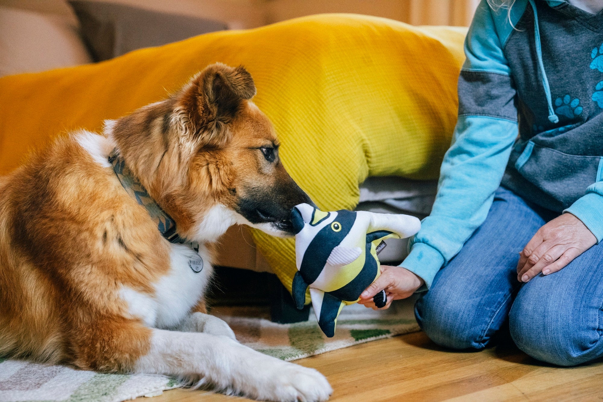 P.L.A.Y. Ocean Buddies Moorish Idol colourful tropical fish interactive squeaky plush dog toy with yellow, black, and white stripes.