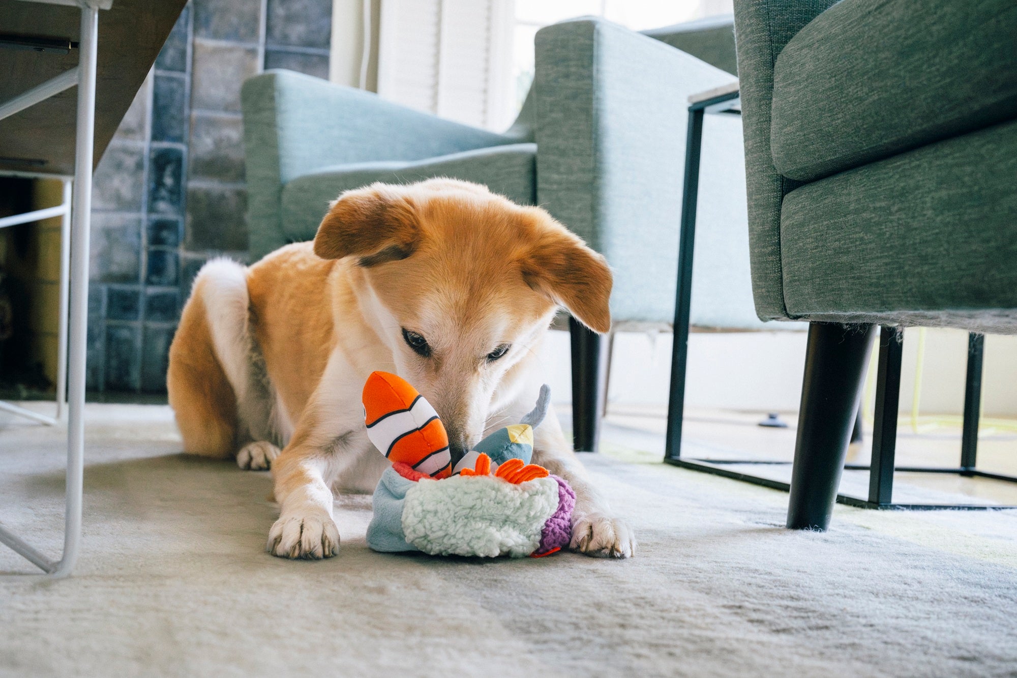 P.L.A.Y. Ocean Buddies Reef Retreat colourful coral reef interactive plush dog toy with two small squeaky fish.