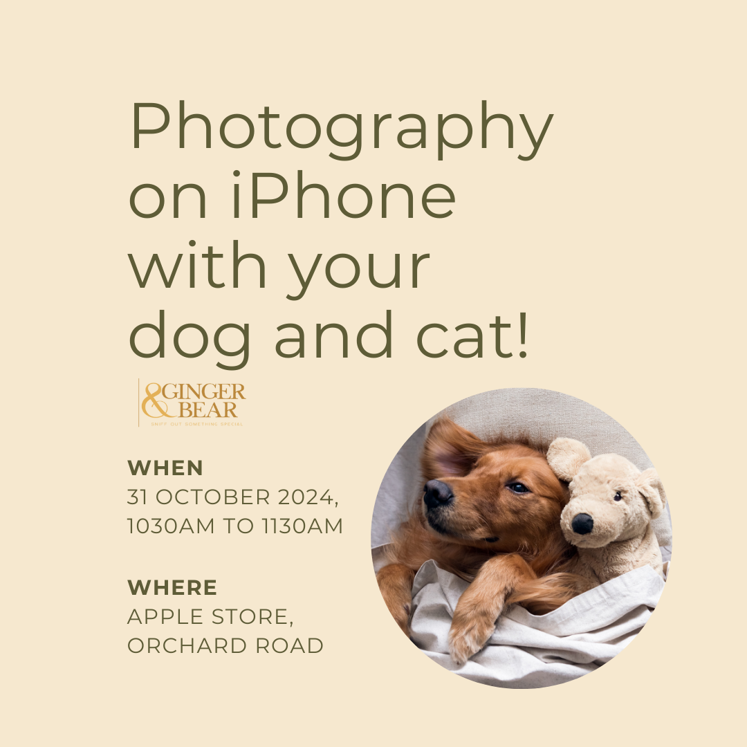 Photography on iPhone with your dog and cat!