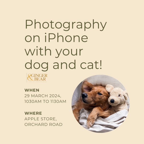 Photography on iPhone with your dog and cat!