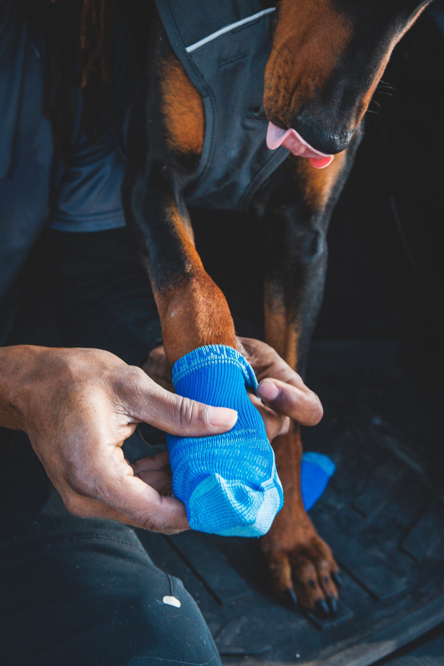 Ruffwear Bark'n Boot Dog Socks in a set of four, showing the engineered knit and contoured shape designed to prevent dog boot chafing.