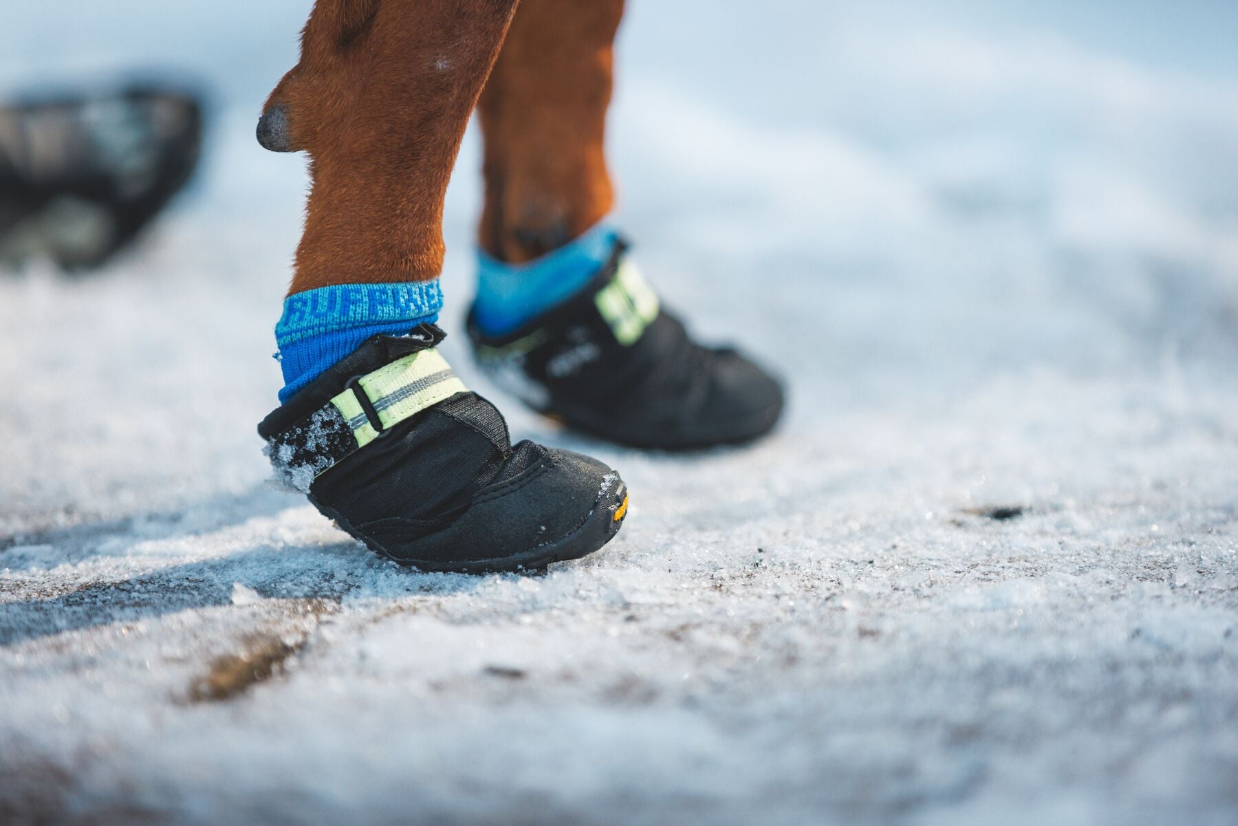 Ruffwear Bark'n Boot Dog Socks in a set of four, showing the engineered knit and contoured shape designed to prevent dog boot chafing.