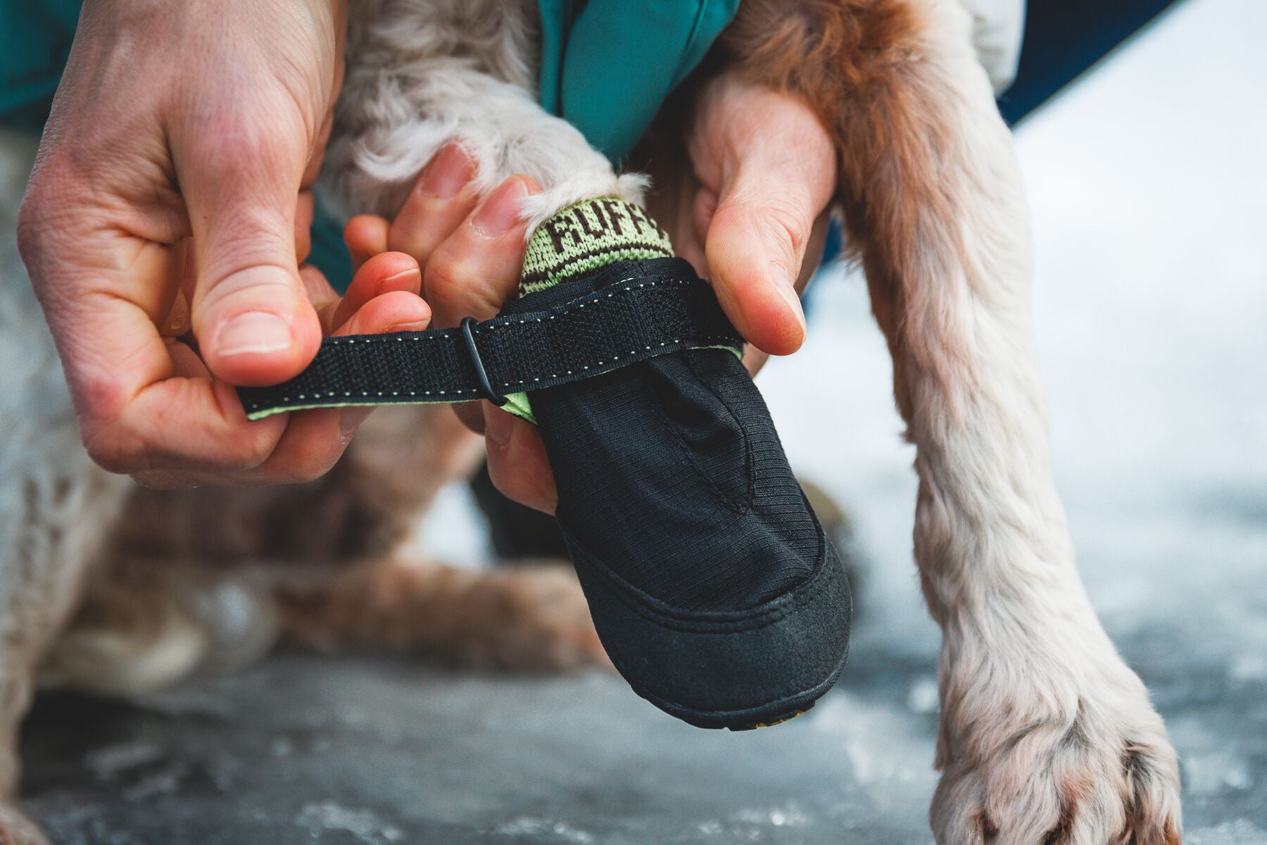 Ruffwear Bark'n Boot Dog Socks in a set of four, showing the engineered knit and contoured shape designed to prevent dog boot chafing.