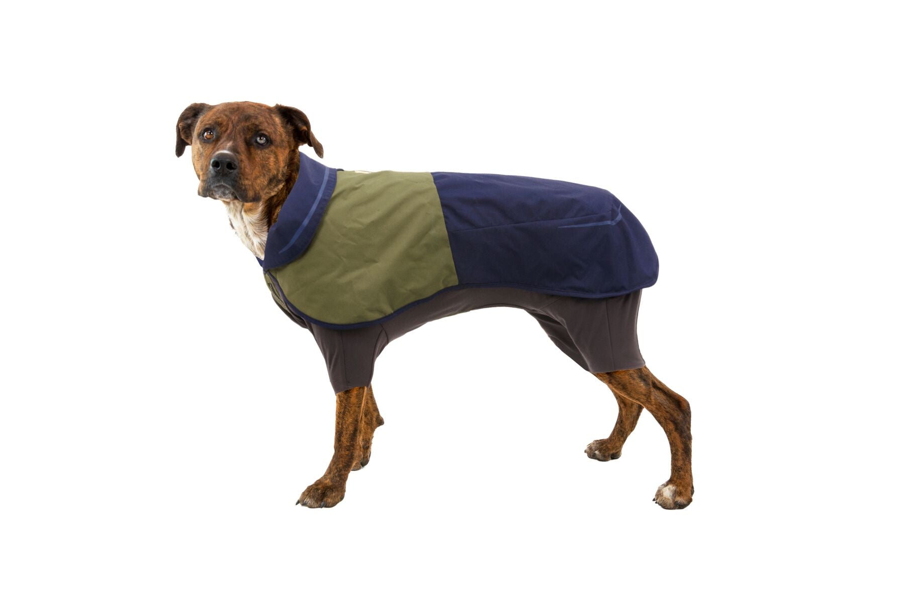 Waterproof Ruffwear Sun Shower dog raincoat with stretch sleeves and a chest zipper for full weatherproof protection