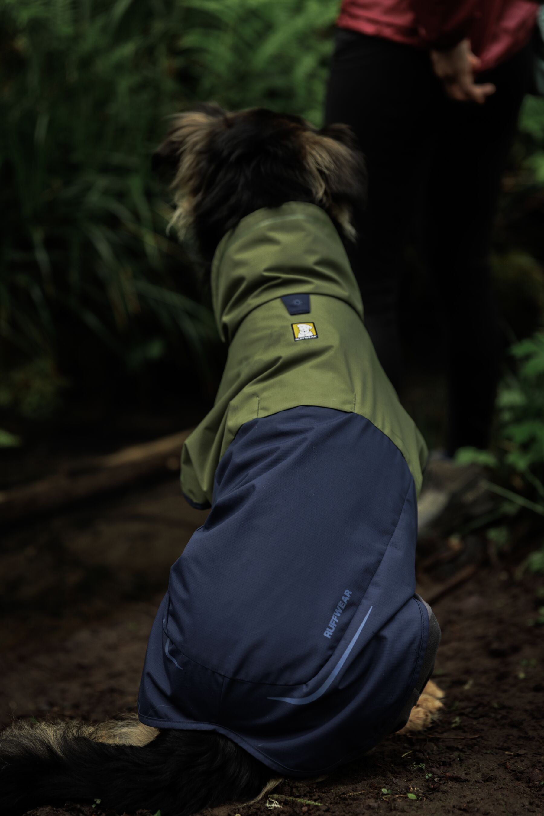 Waterproof Ruffwear Sun Shower dog raincoat with stretch sleeves and a chest zipper for full weatherproof protection