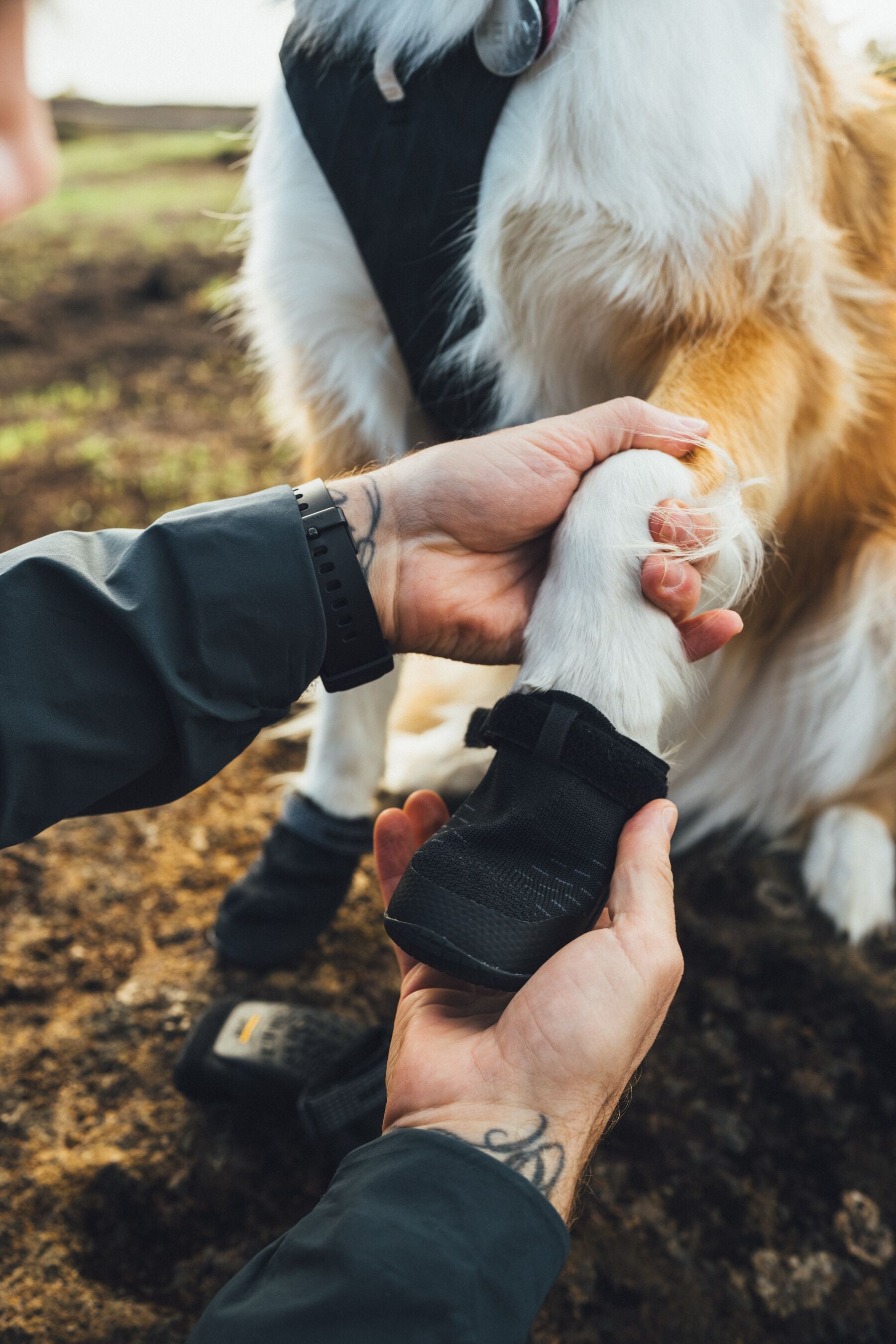 Ruffwear Dog boots: Ridegline PAIR