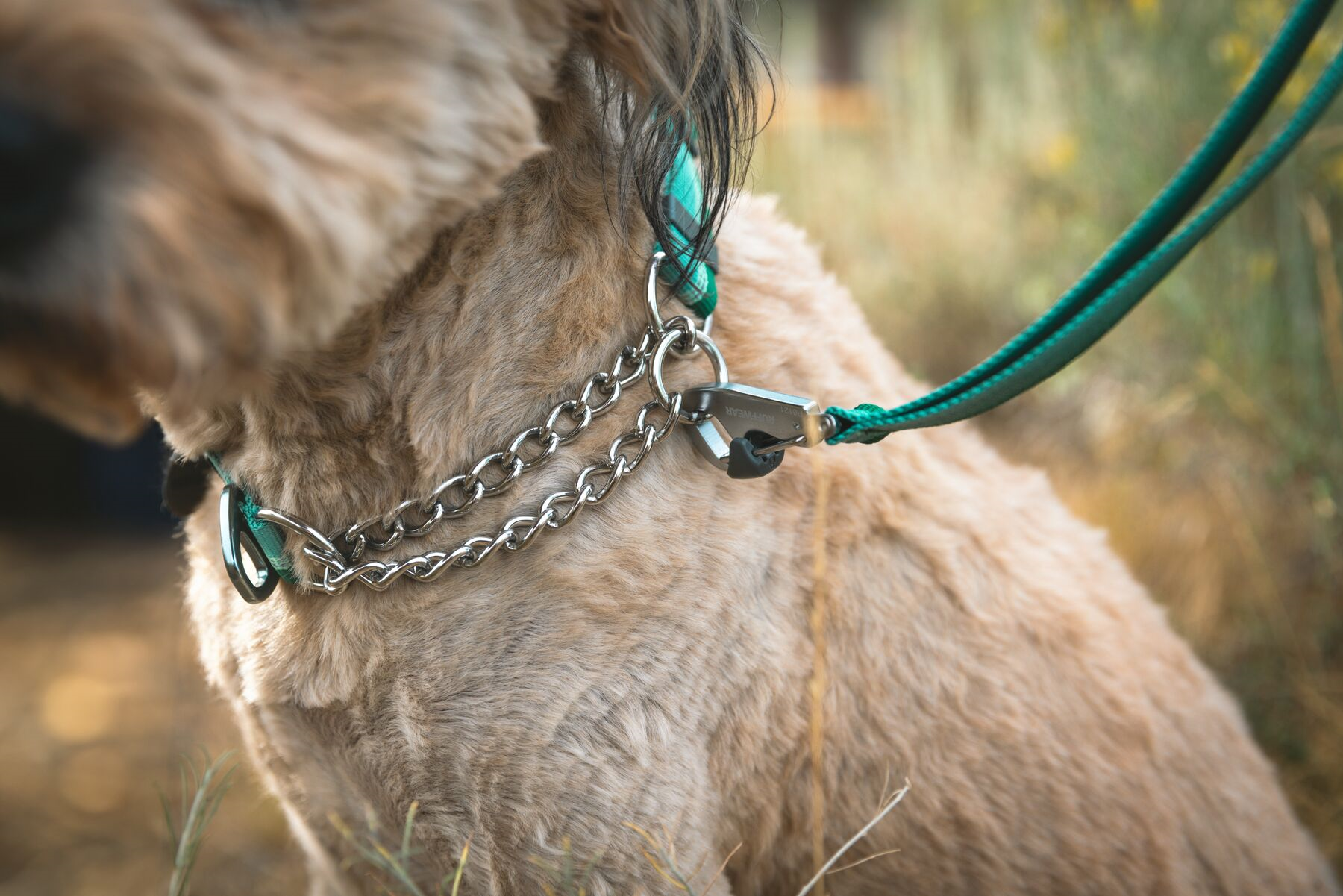 Ruffwear Dog Collar: Chain Reaction New Colours