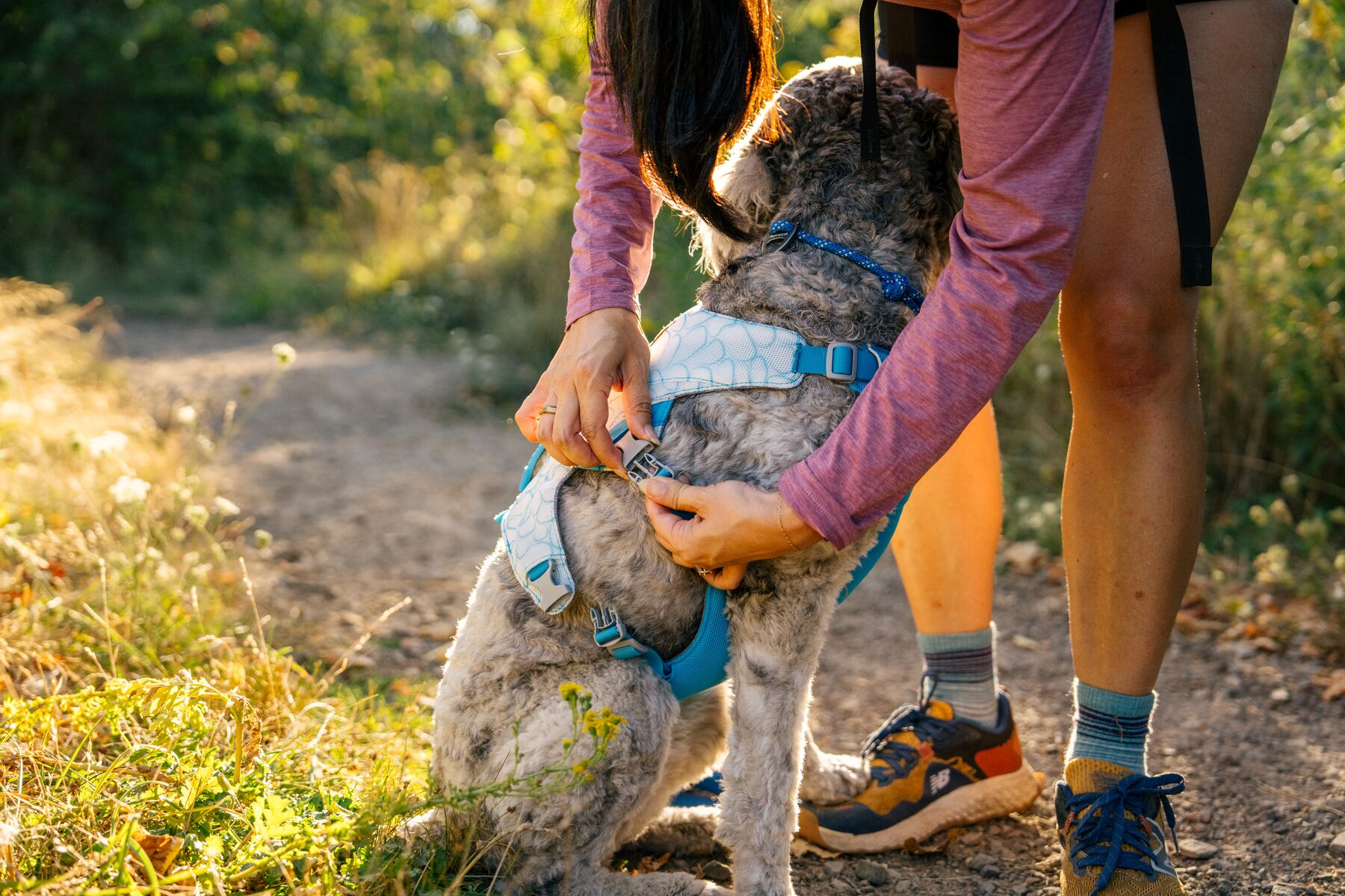 Ruffwear Dog Cooling Harness: Swamp Cooler (New Colours)