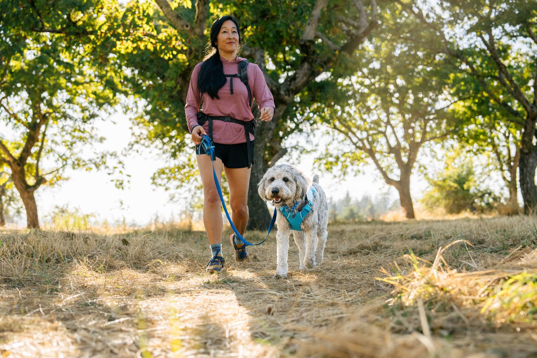 Ruffwear Dog Cooling Harness: Swamp Cooler (New Colours)