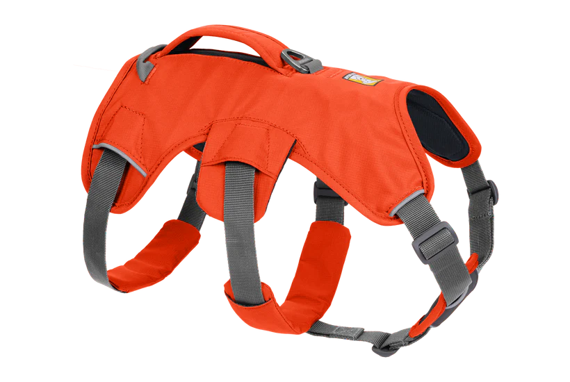 Ruffwear Dog Harness, Web Master (New Colours)