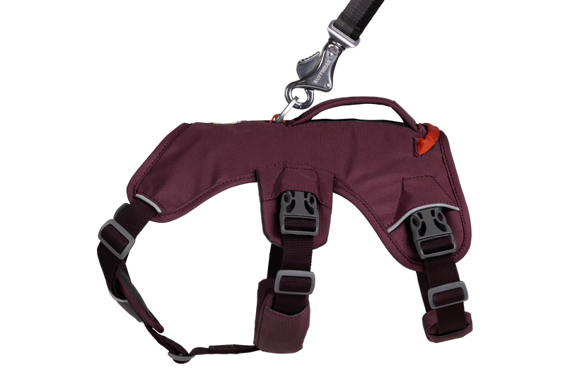 Ruffwear Dog Harness, Web Master (New Colours)