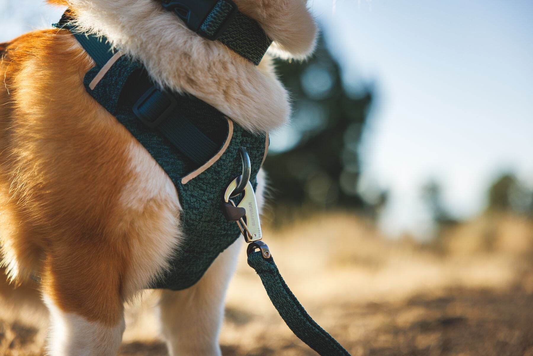 Ruffwear Dog Harness, Front Range Flex Harness