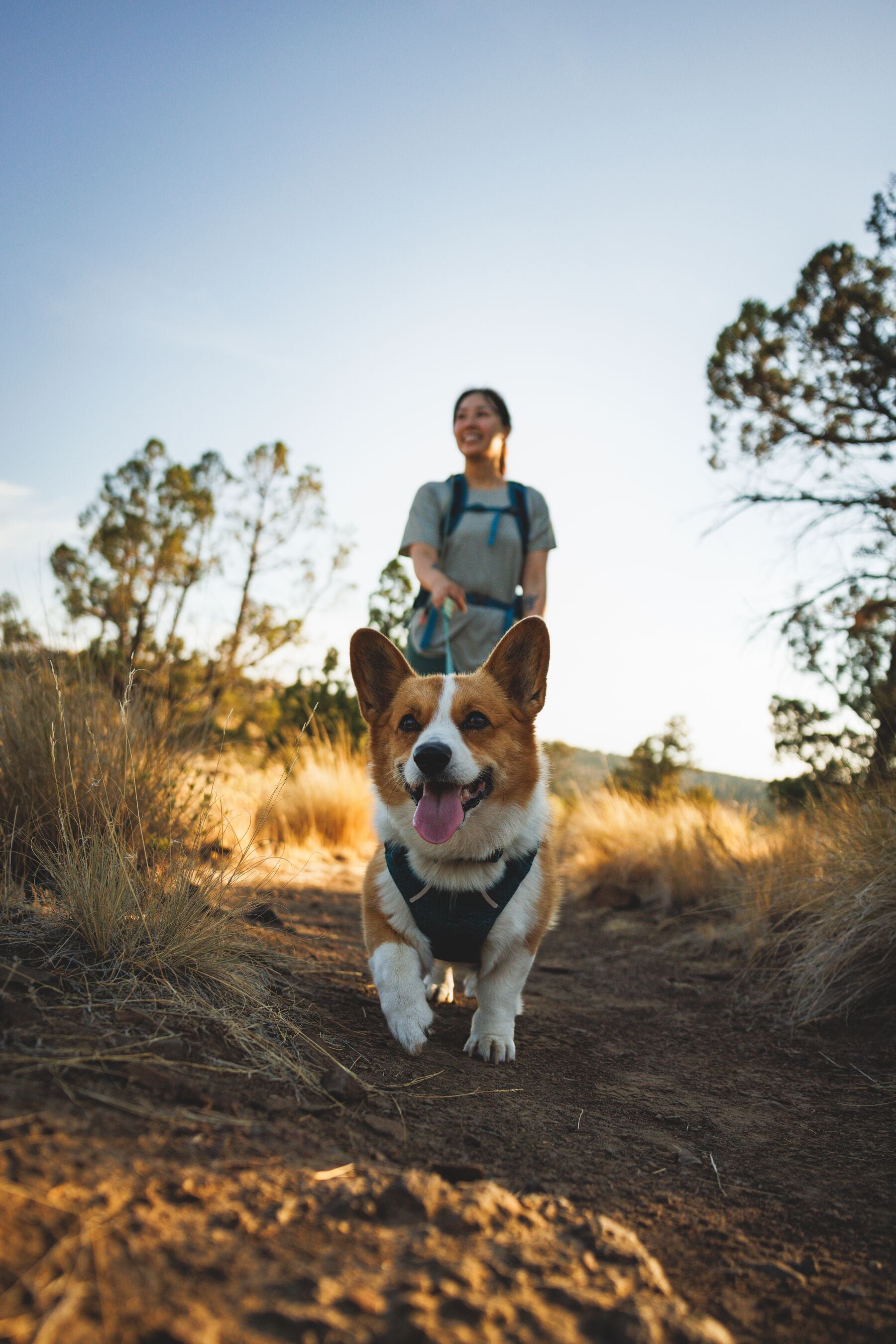 Ruffwear Dog Harness, Front Range Flex Harness