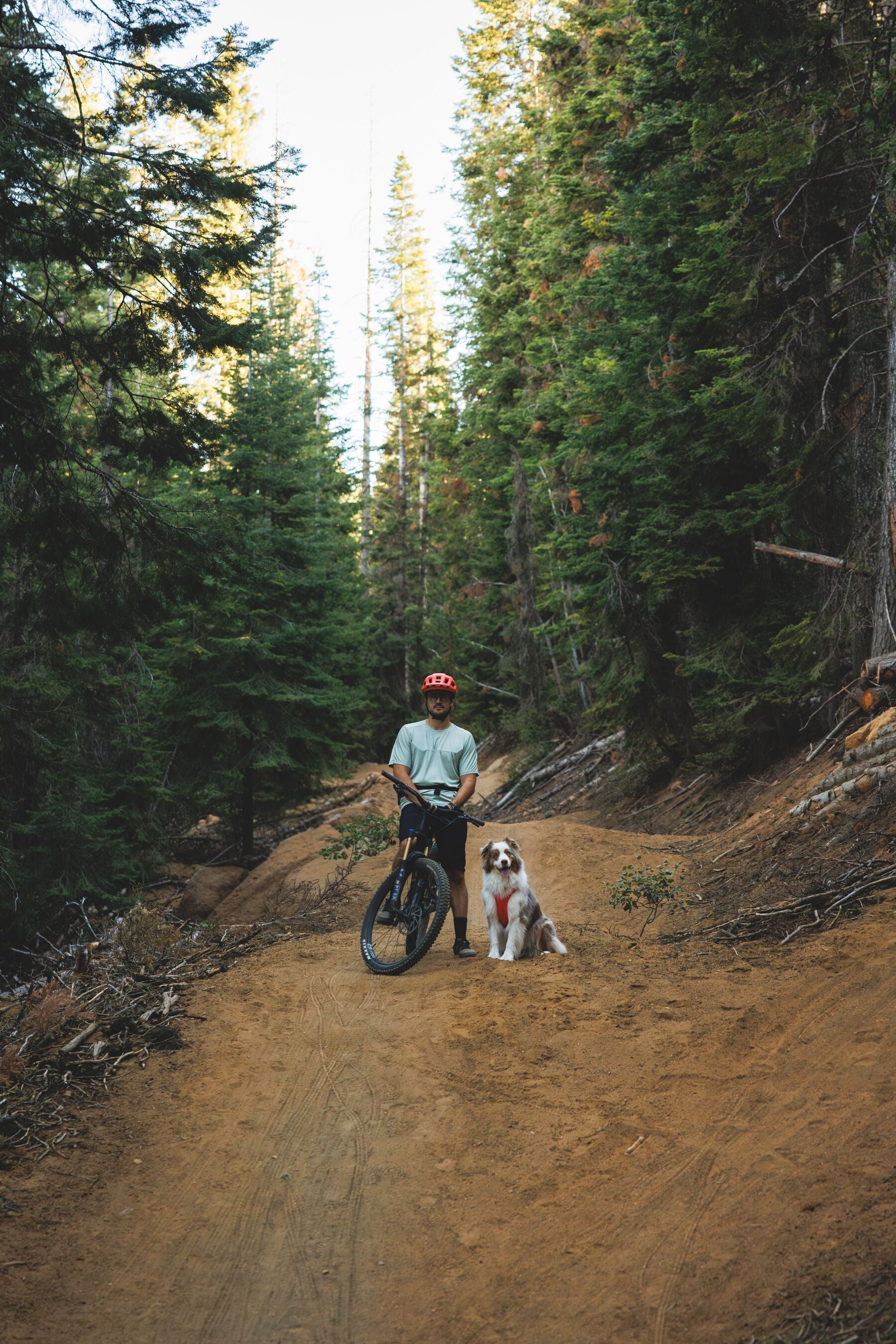 Ruffwear Dog Harness, Front Range Flex Harness