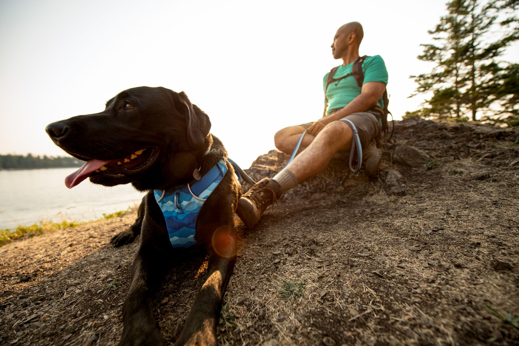 Ruffwear Dog No-Pull Harness, Front Range