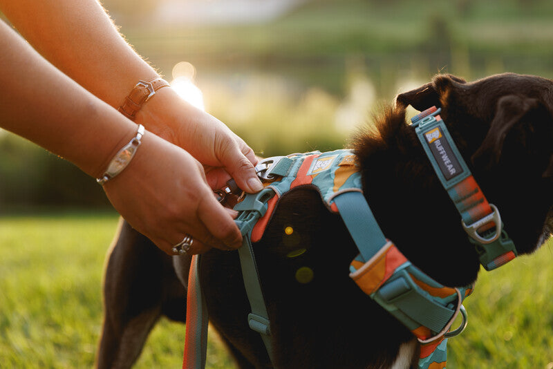 Ruffwear Dog No-Pull Harness, Front Range