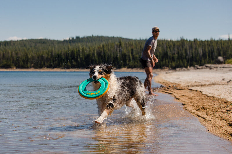 Ruffwear Hydro Plane Floating Throw Dog Toy