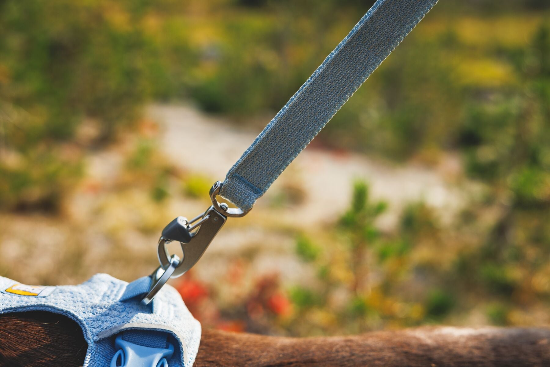 Ruffwear Front Range Flex Dog Leash | Lightweight Athletic Knit