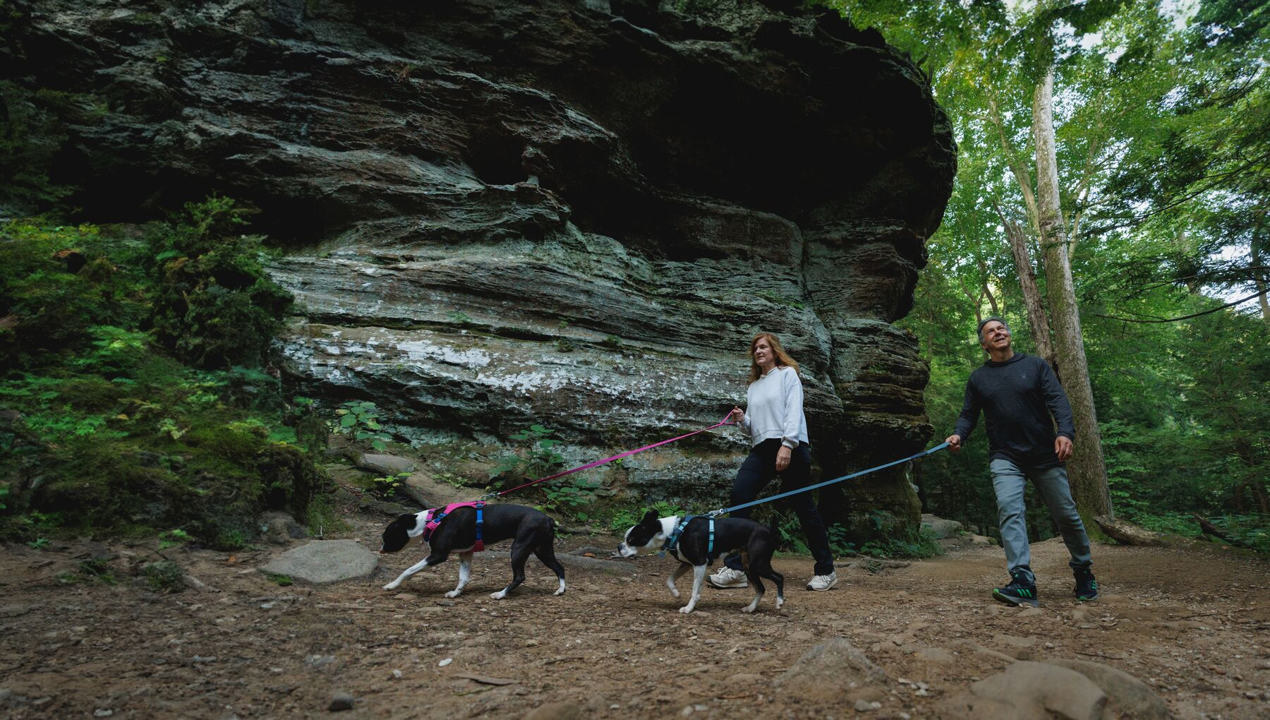 Ruffwear Lightweight Dog Leash: Hi & Light