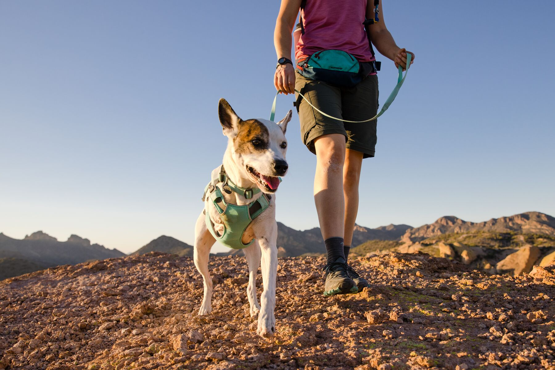 Ruffwear Lightweight Dog Leash: Hi & Light