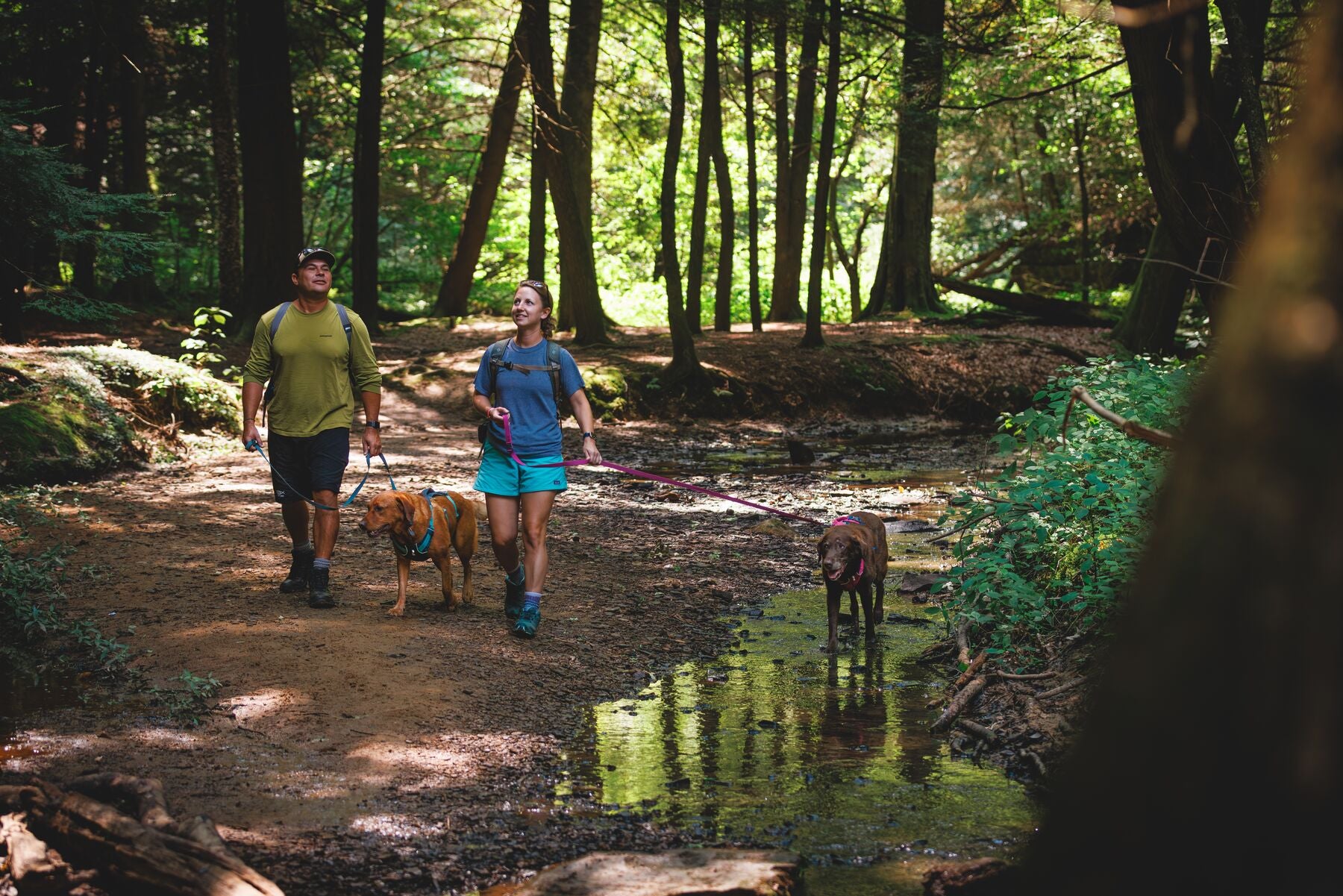 Ruffwear Lightweight Hands-free Dog Leash: Flagline