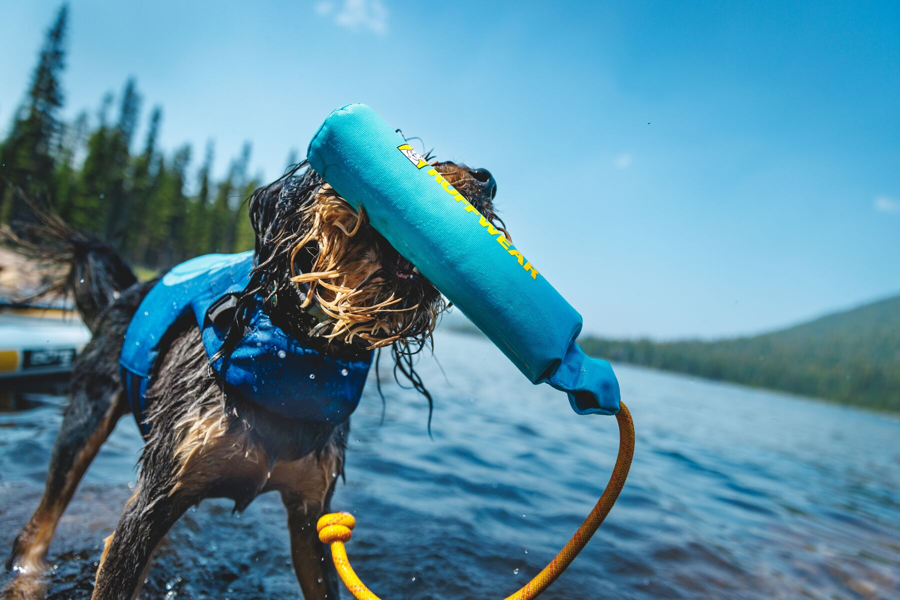 Ruffwear Lunker Floating Throw Dog Toy (New Colours)