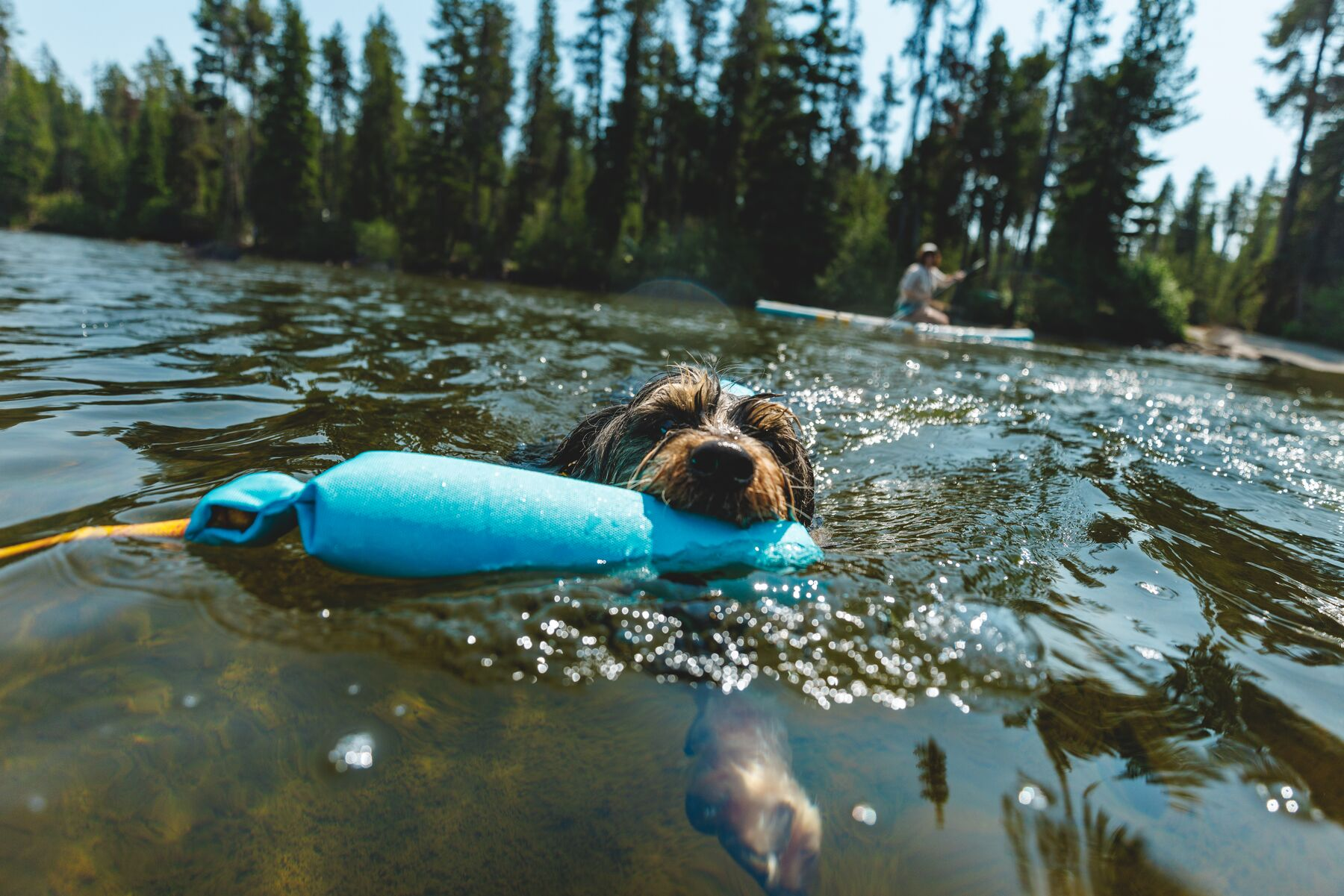Ruffwear Lunker Floating Throw Dog Toy (New Colours)