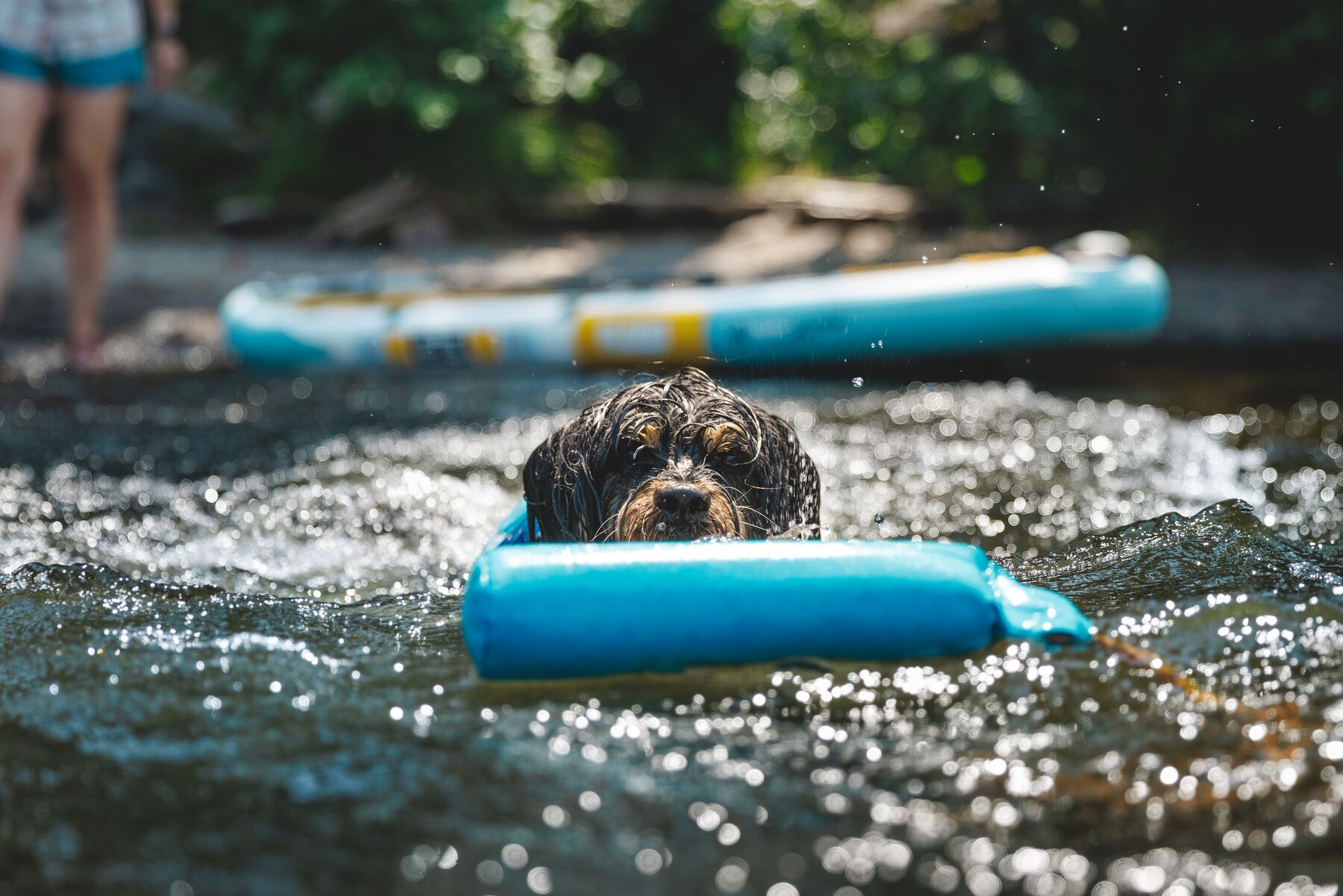 Ruffwear Lunker Floating Throw Dog Toy (New Colours)