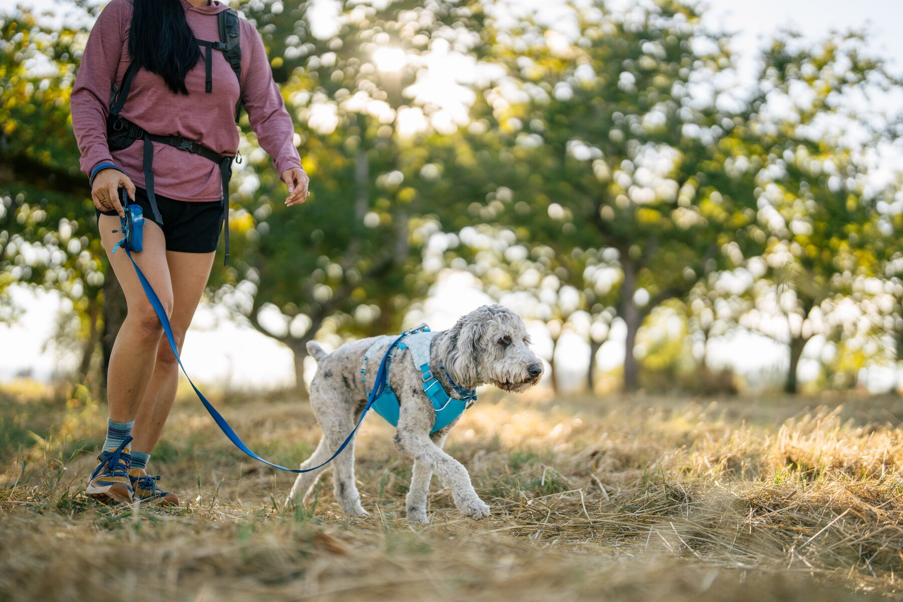 Ruffwear Pickup Bag Dispenser, Stash Bag Mini (New Colours)