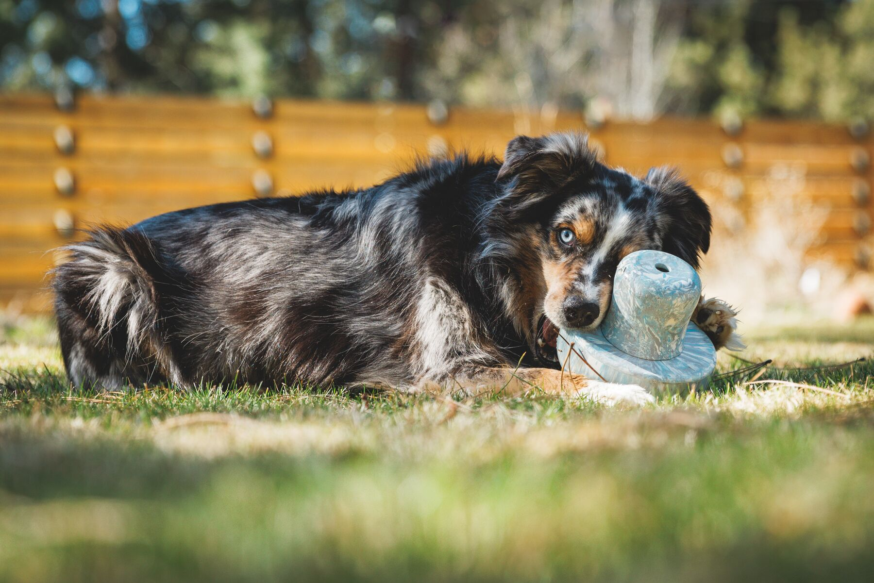 Ruffwear Porcini Dog Toy