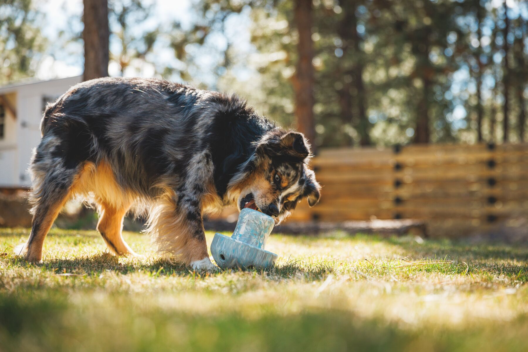 Ruffwear Porcini Dog Toy