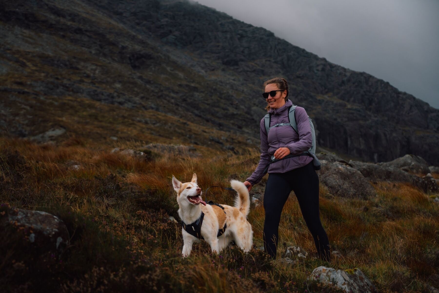 Ruffwear Ridgeline Harness in a streamlined, waterproof X-Pac laminate shell for active dogs.