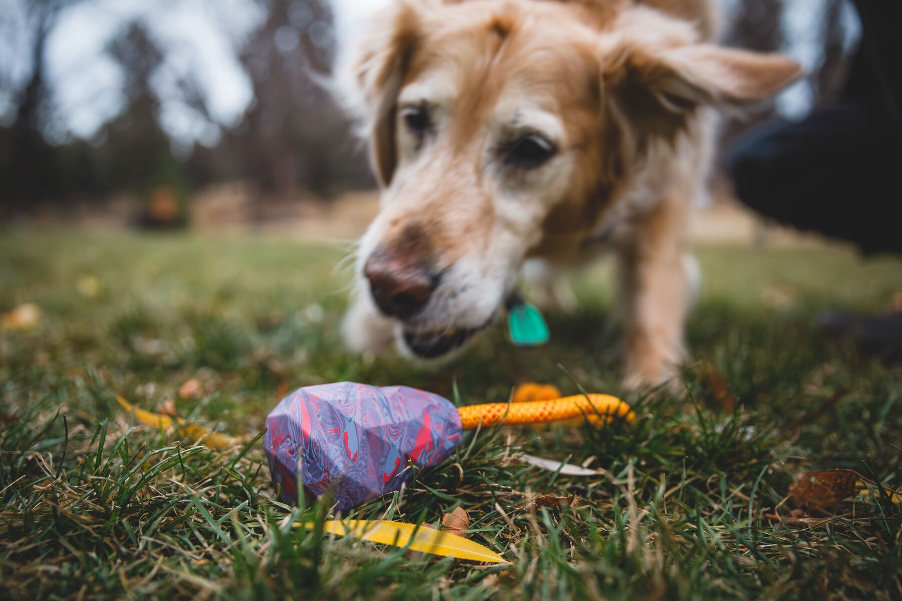 Ruffwear Rubber Tug Dog Toy: Huck-a-Cone