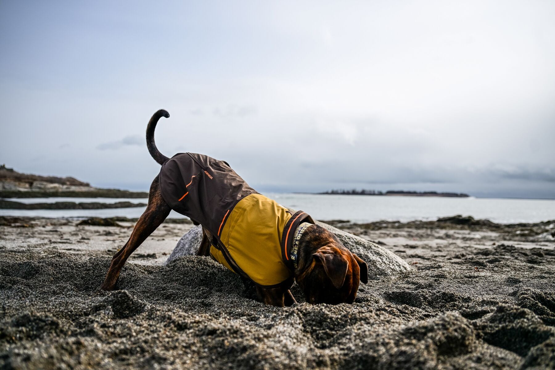 Ruffwear Dog Rain Coat: Sun Shower Jacket