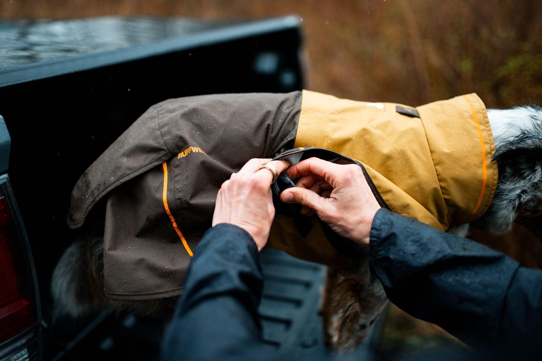 Ruffwear Dog Rain Coat: Sun Shower Jacket