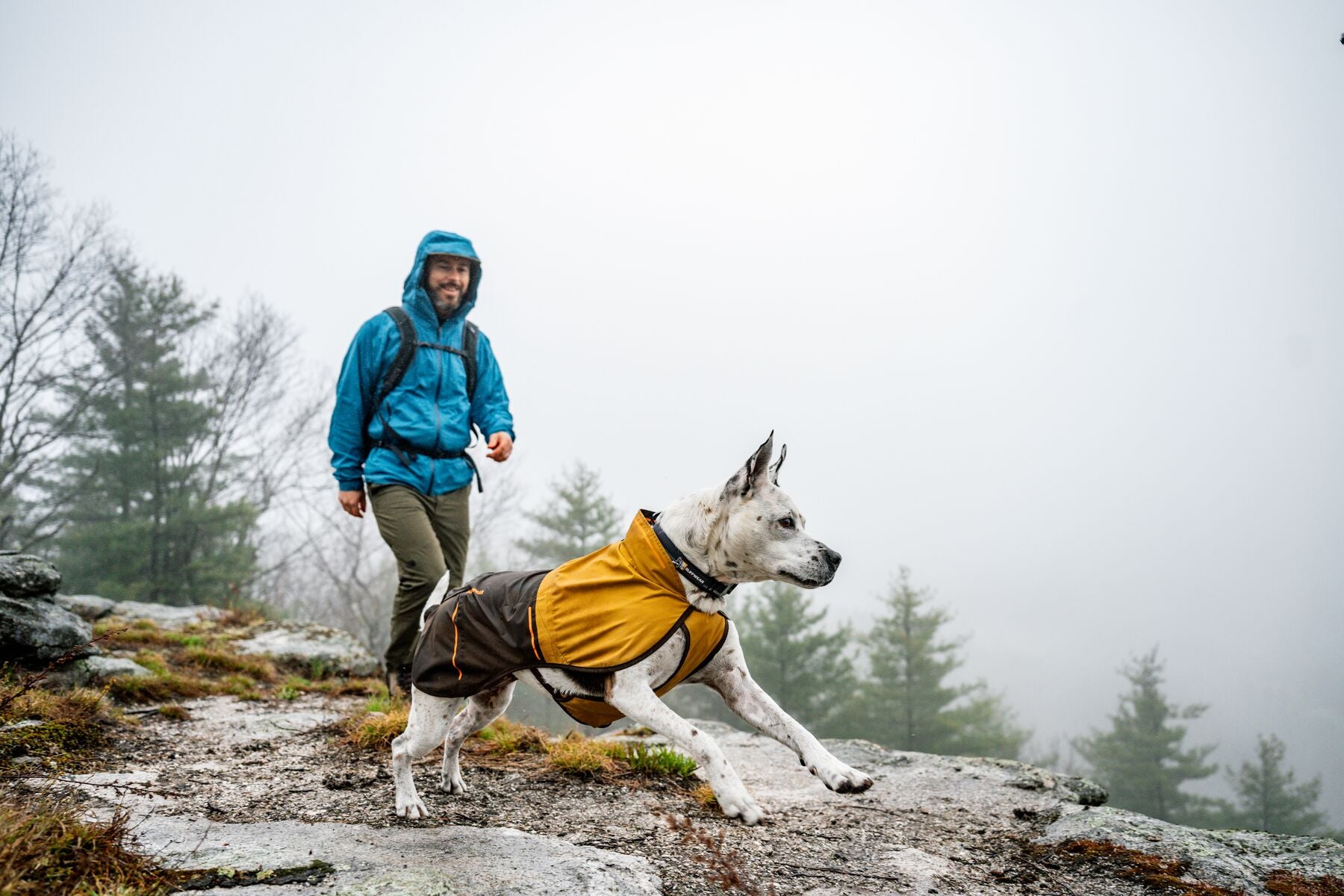 Ruffwear Dog Rain Coat: Sun Shower Jacket