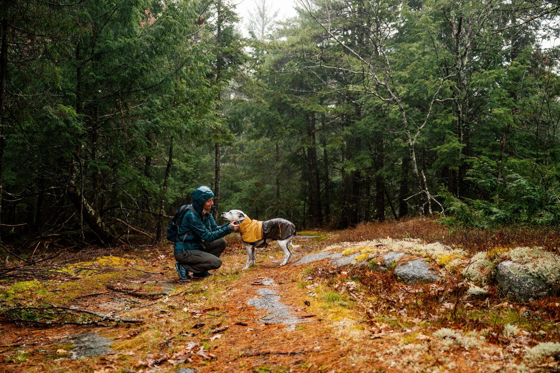 Ruffwear Dog Rain Coat: Sun Shower Jacket